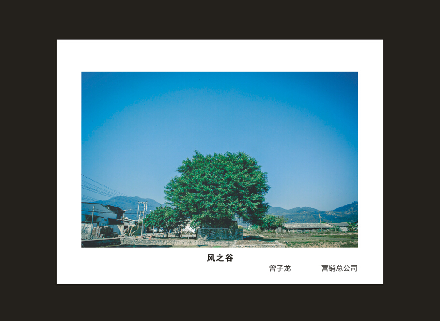 HUAQIU.COM智能成立16周年司庆活动“魅力HUAQIU.COM”摄影比赛优秀作品展